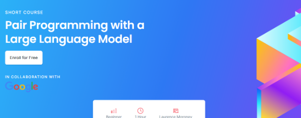 Pair Programming with a Large Language Model